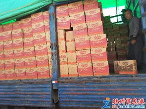 王師傅裝卸服務(wù)隊 專業(yè)裝卸與保潔服務(wù)一體化解決方案